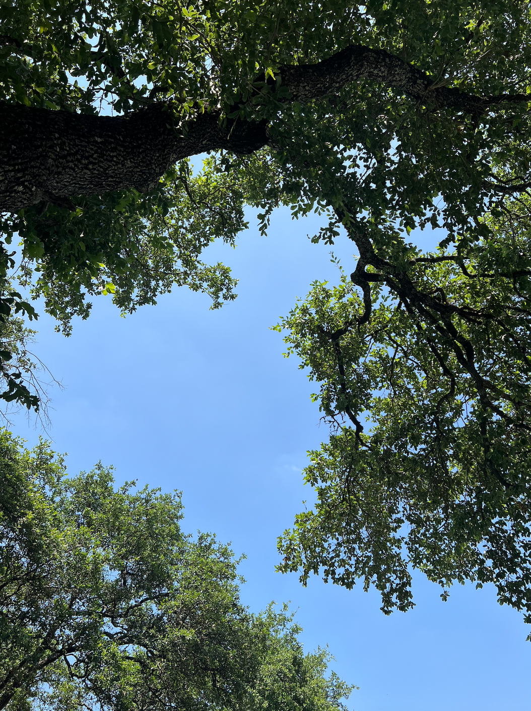 What 3am thoughts really cost us (and how to quiet them)