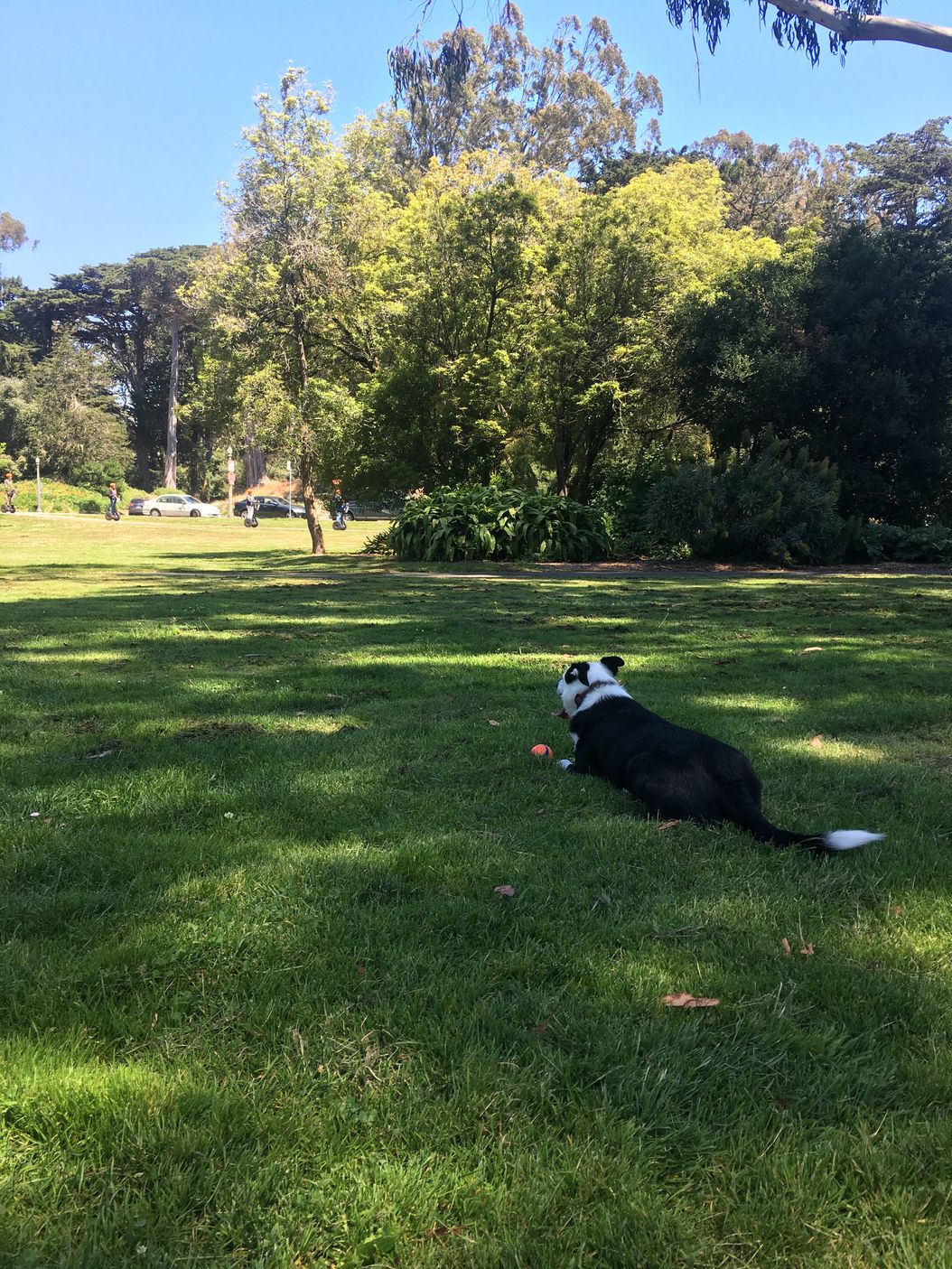 The moment I knew I had to let go