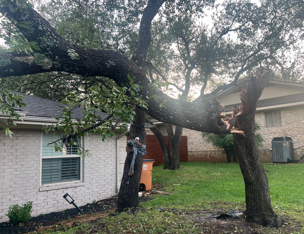 When life forces a hard reset